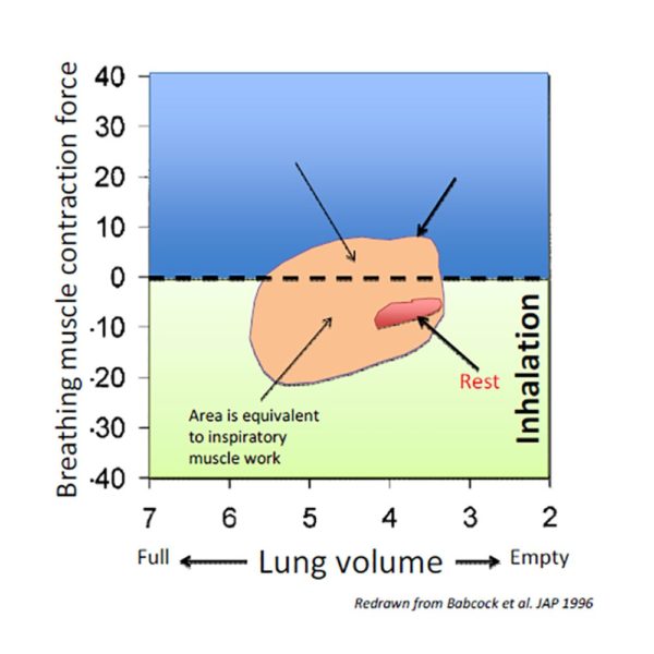 Breathing Facts | POWERbreathe